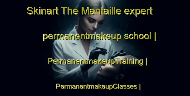 Skinart The Mantaille expert permanentmakeup school | PermanentmakeupTraining | PermanentmakeupClasses | SkinartTraining-France